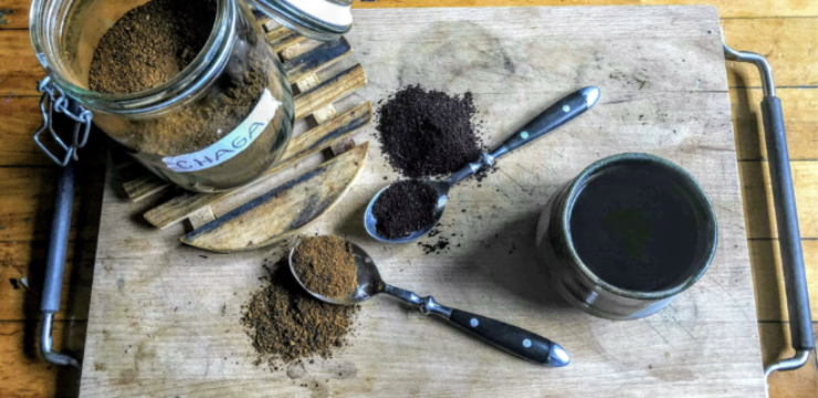 chaga-mushroom-tea.png