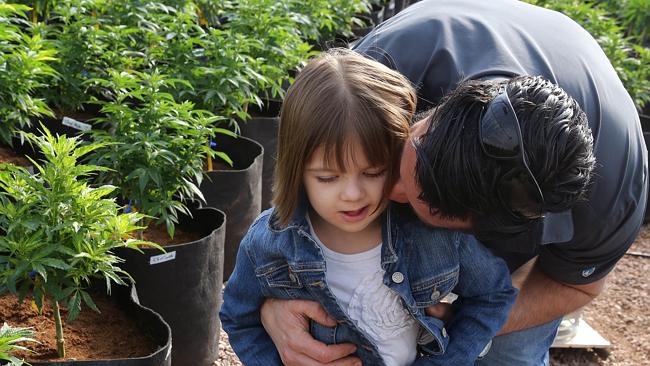 Charlotte Figi with her father, cannabis plants high in CBD for CBD oil