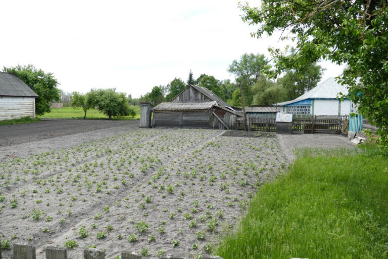 Bringing back the farm after a nuclear meltdown