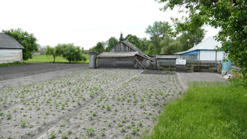 Bringing back the farm after a nuclear meltdown