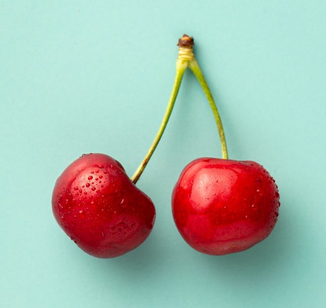 cherry in season, blue background