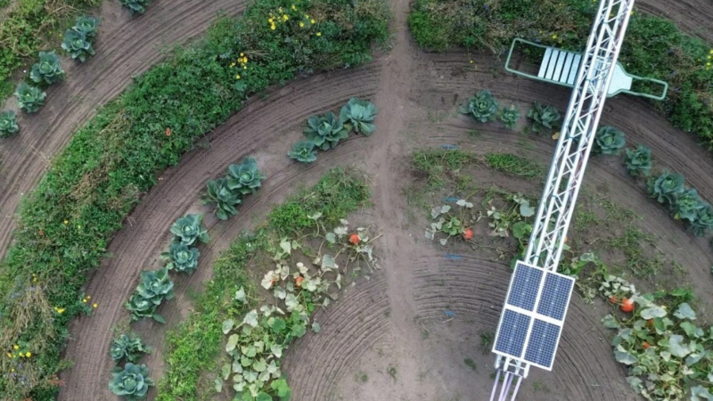 Regenerative circling faming with man, AI, robots and solar power