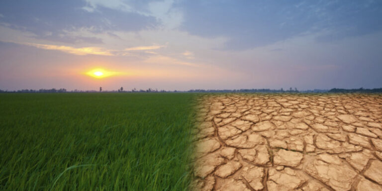 Are UN sponsored climate change goals attainable?