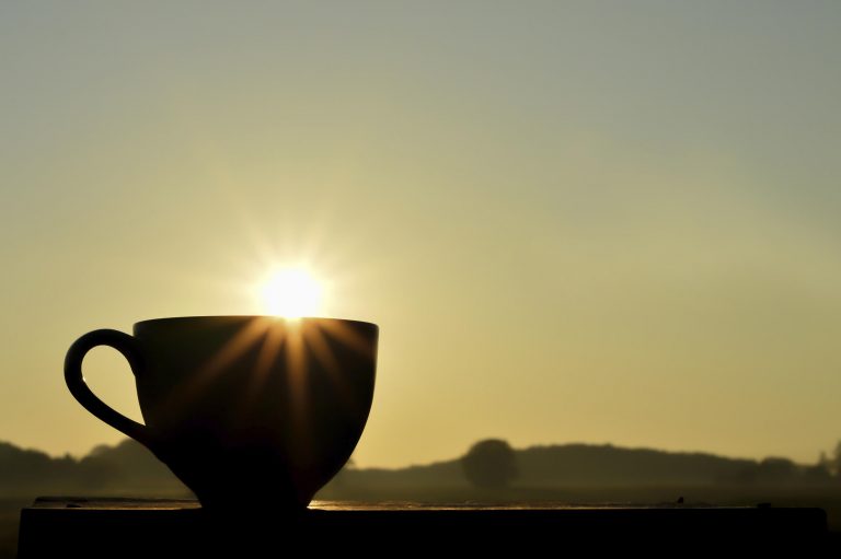 رفيقة الصباح تواجه خطر الانقراض بحلول العام 2080