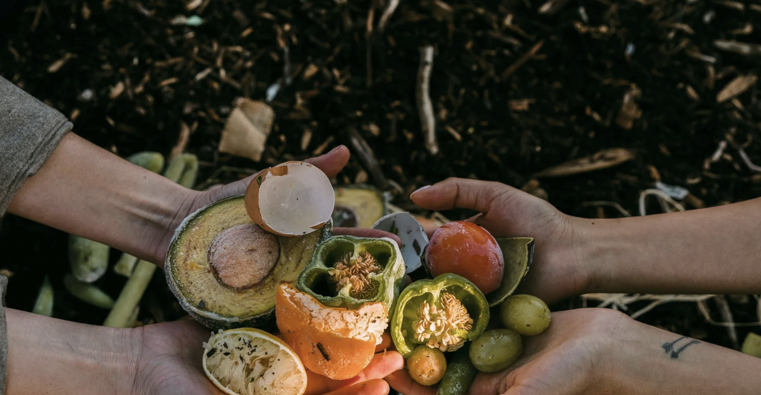 Community Compost in LA