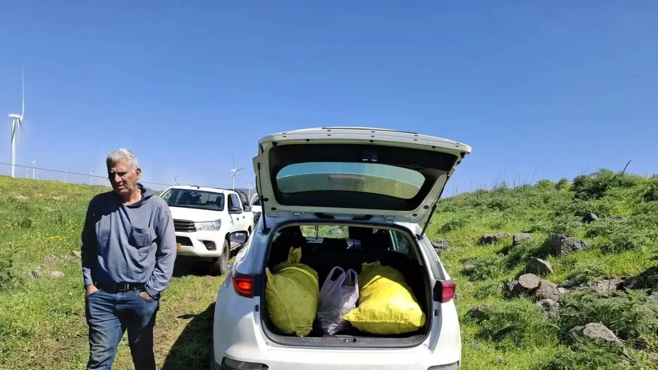 Israeli authorities confiscate illegally harvested plants