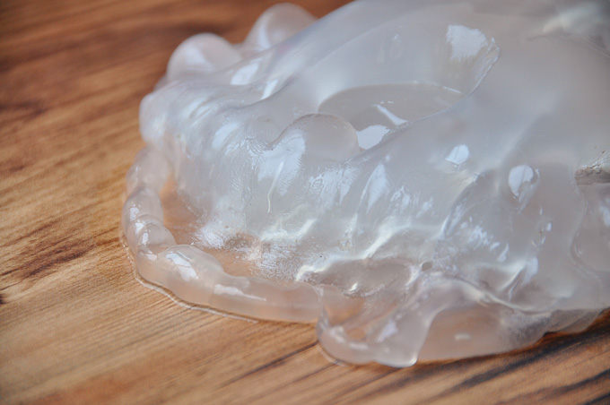 Dan cooks jellyfish as an act of revenge. Images from his food blog, Ptitim