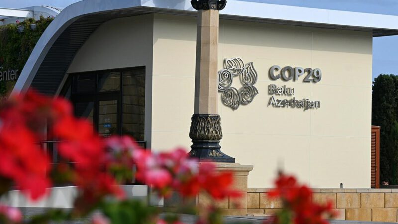 Von der Leyen’s COP29 Absence Sends the Wrong Message on Climate