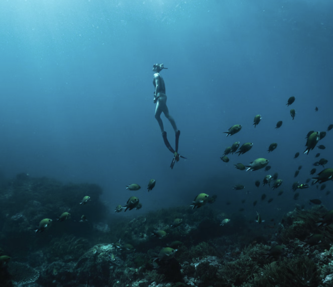 New High Seas treaty set by the UN to protect marine life