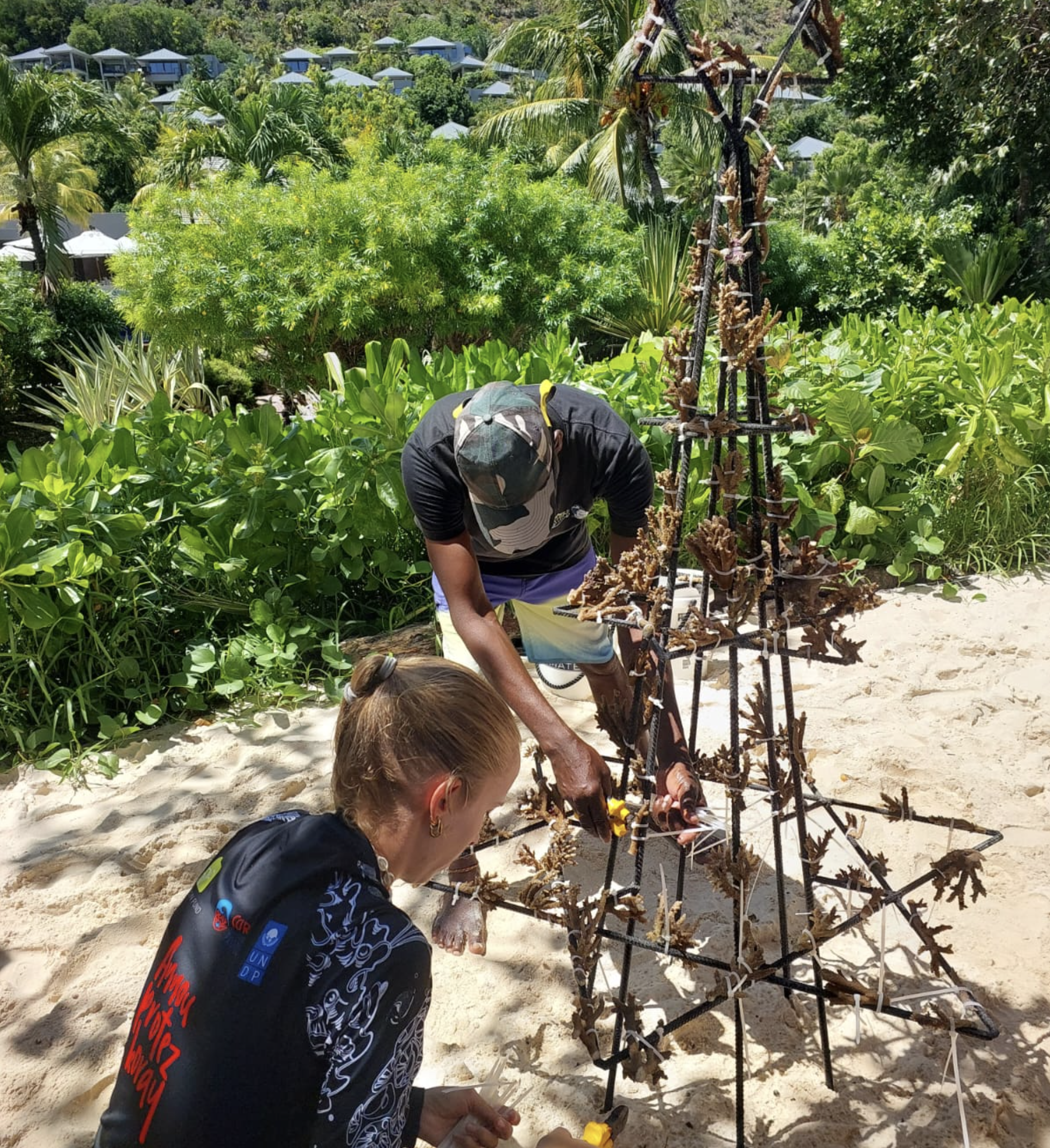 coral reef restoration