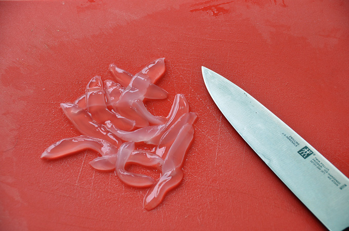 Dan cooks jellyfish as an act of revenge. Images from his food blog, Ptitim