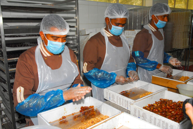 organic date packing dubai