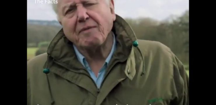 david-attenboroughs-pbs-climate.jpg