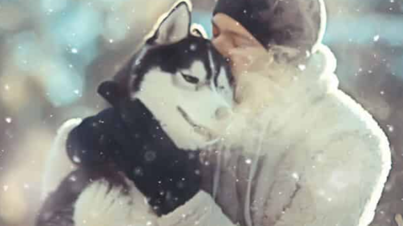 Discovering the Magic of Dead Sea Magnesium Chloride