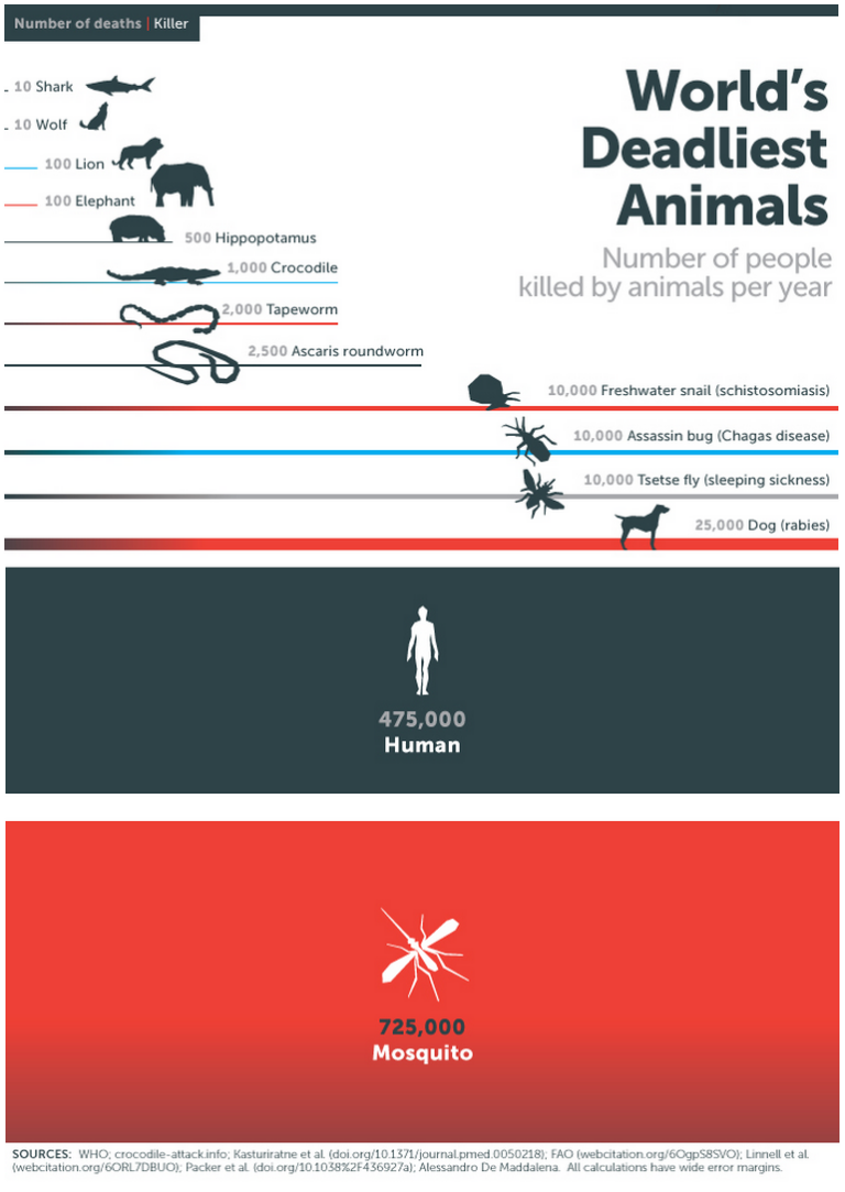 Bill Gates declares war on world’s (surprisingly) deadliest creature