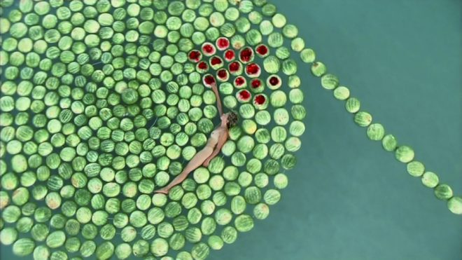 dead sea watermelons