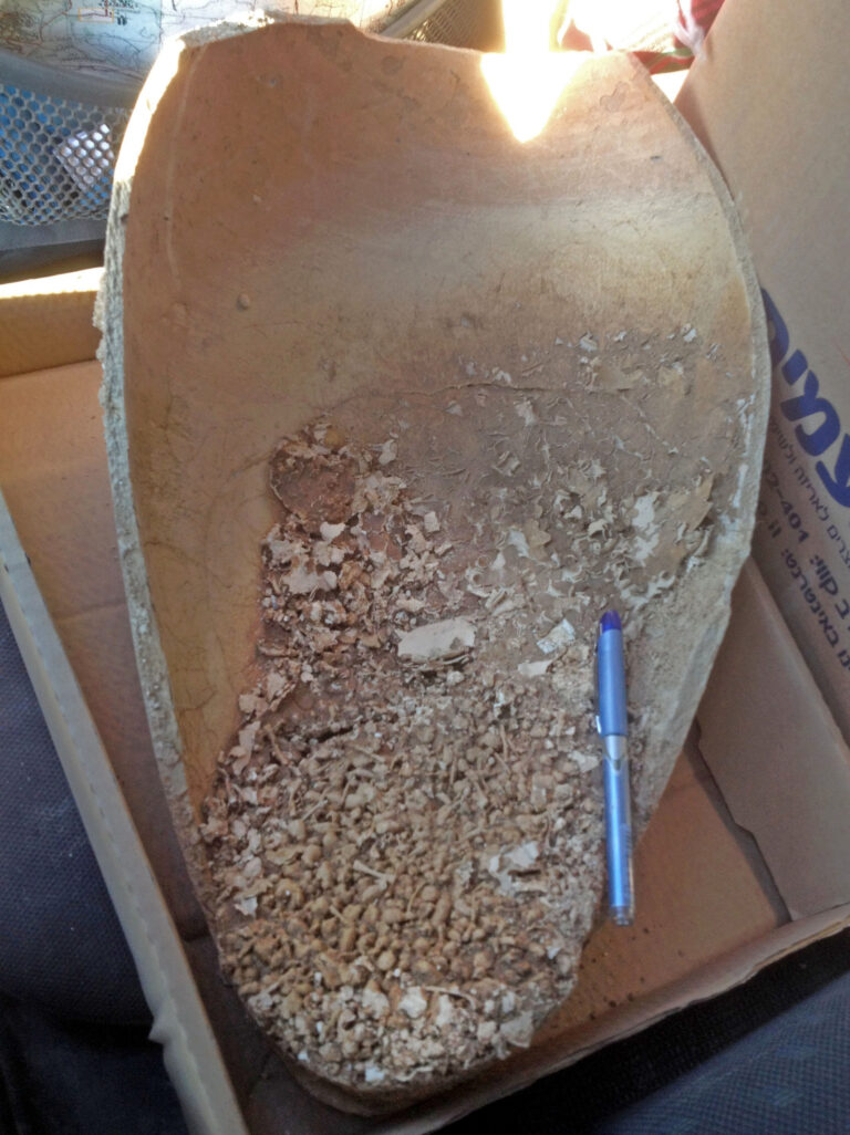 Ancient jar of decapitated toad heads puzzle archeologists