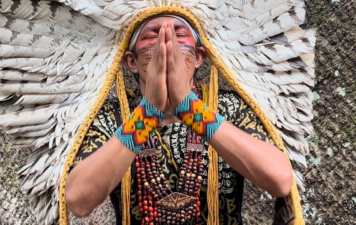 Ayahuasca in 2025: Where the Sacred Vine Still Grows