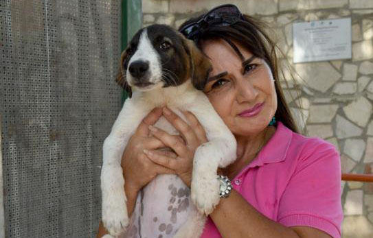 diana babish with puppy