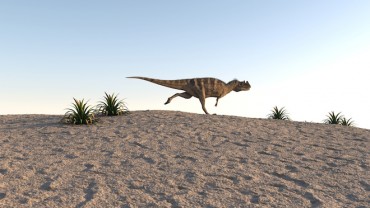 Mass extinction on its way thanks to humans, new study shows