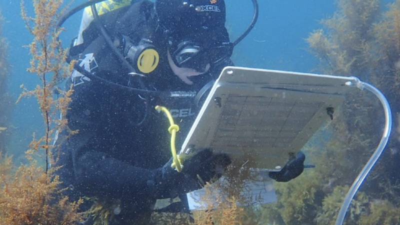 Diving live aboard safety concerns in Egypt spurs thesis and safety checklist