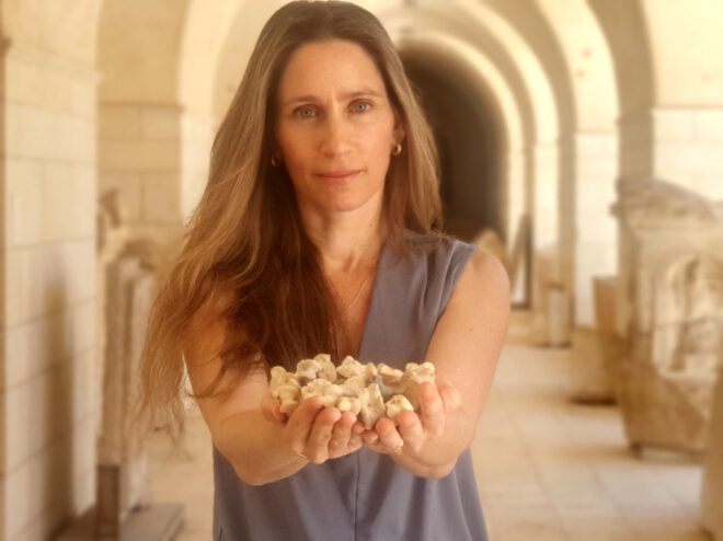 maresha bones, astragali held in hands of researcher