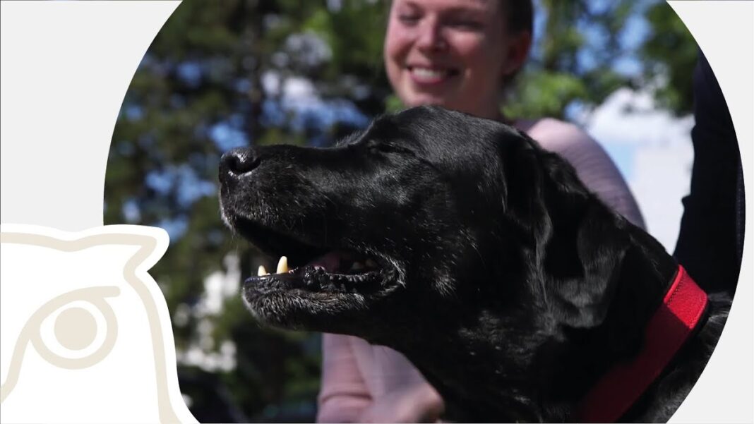 dog poo DNA tel aviv