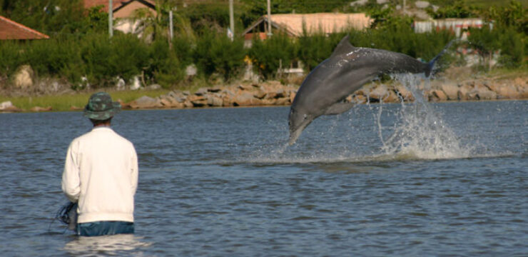 dolphins-human-fish-brazil.jpg