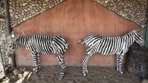 Donkey painted like a zebra