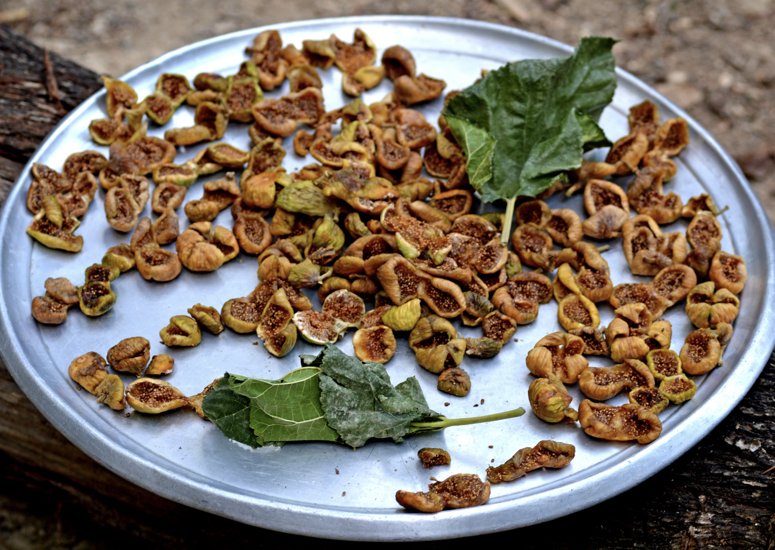 figs drying on a tray in Lebanon