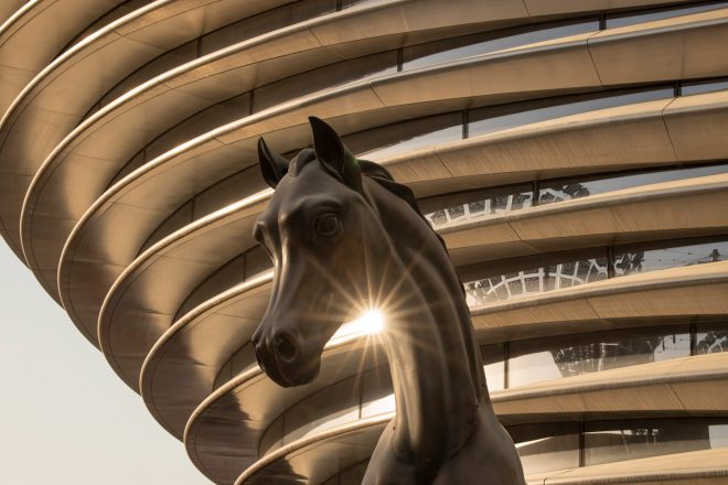 wild horse Dubai expo