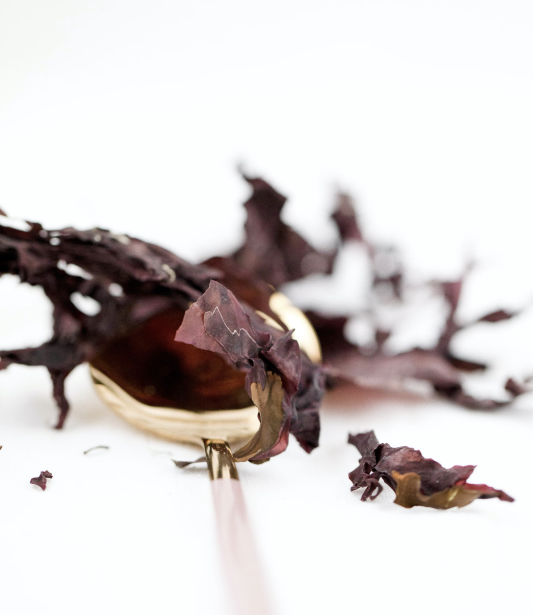 Dulse superfood Atlantic detox