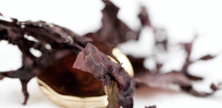dulse-the-new-superfood-detox.png