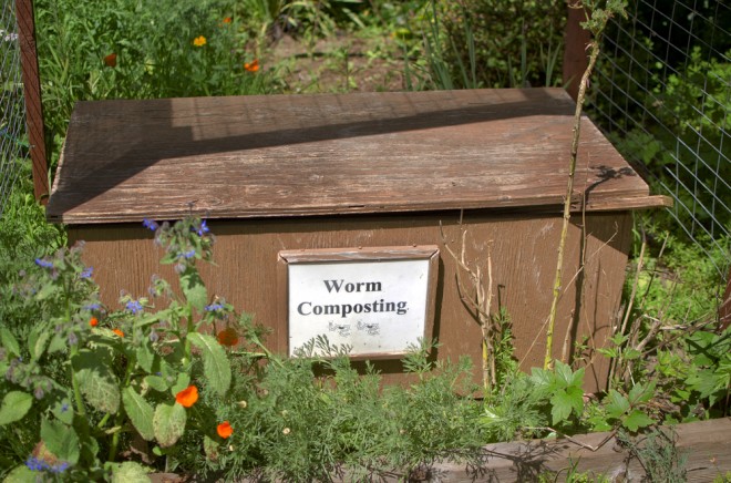 earthworm and red worm compost bins