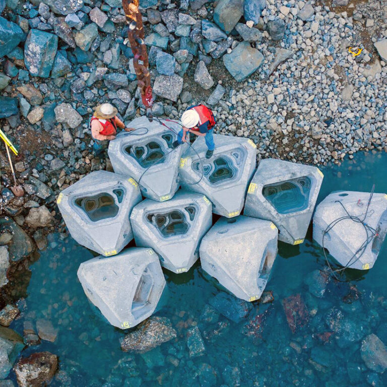 Econcrete makes built coastlines richer in marine life with new investment