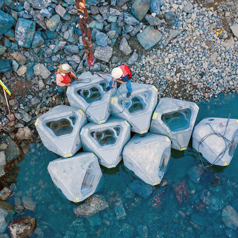 Econcrete makes built coastlines richer in marine life with new investment