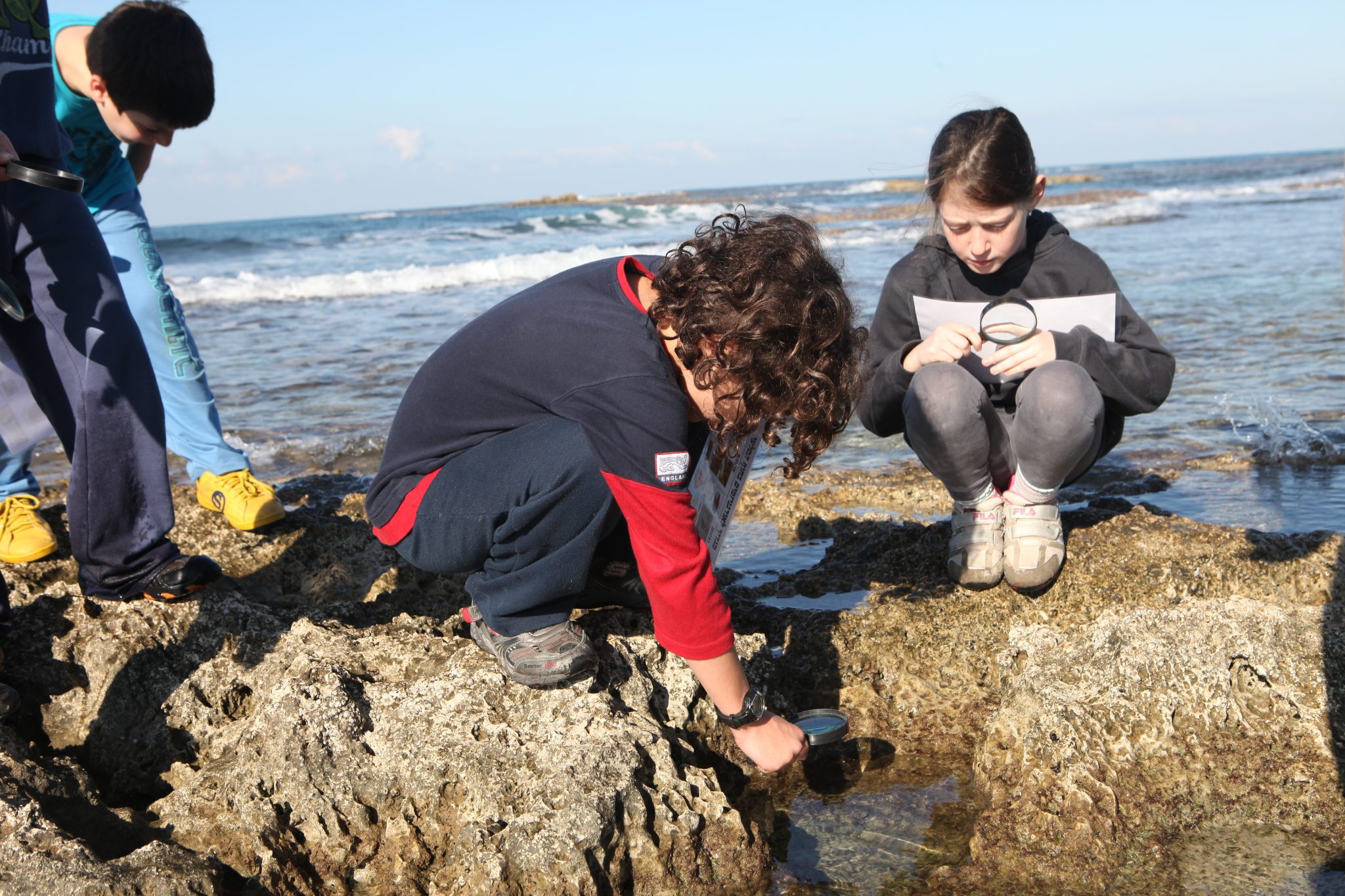 Ecoocean marine education, Michmoret, Israel, sea protection, reef habitat