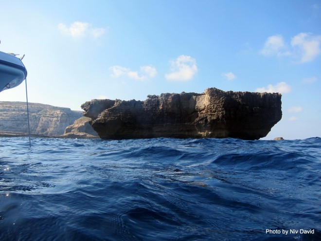 ecoocean-malta-mediterranean-sea-2