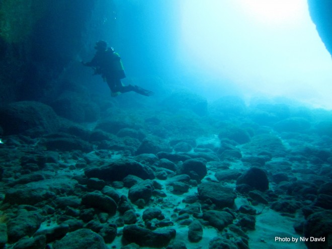 ecoocean-malta-mediterranean-sea-4