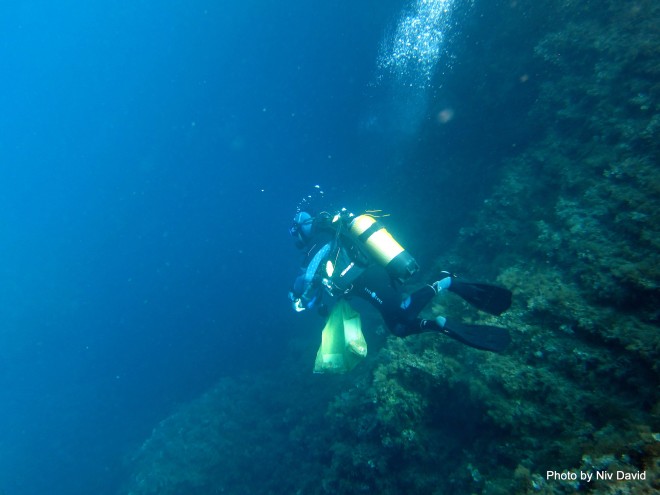 ecoocean-malta-mediterranean-sea-6