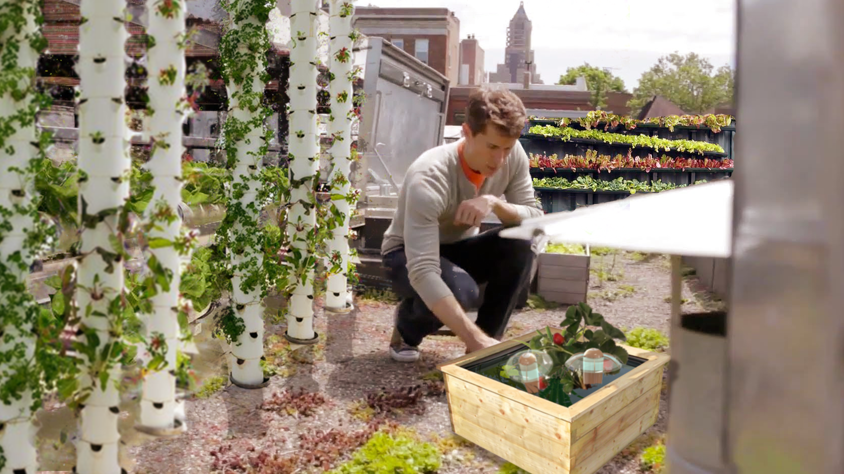 hydroponics cannabis internet of things