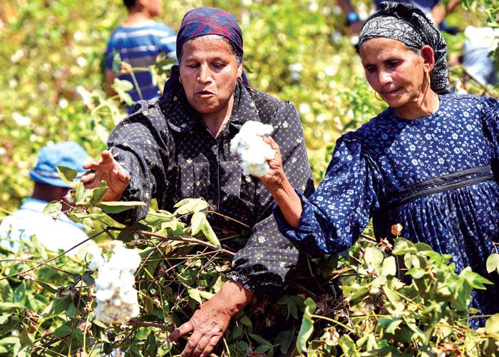 Better Cotton urges leaders at COP27 to show support for farmers on the frontline