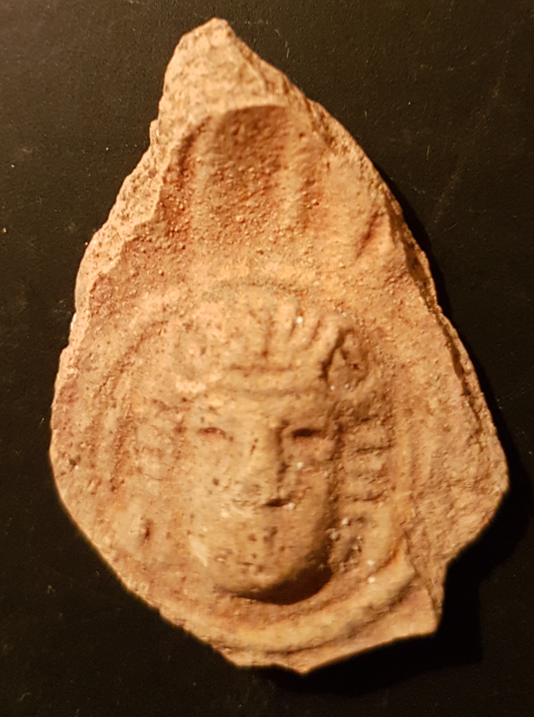 wine city elusa israel