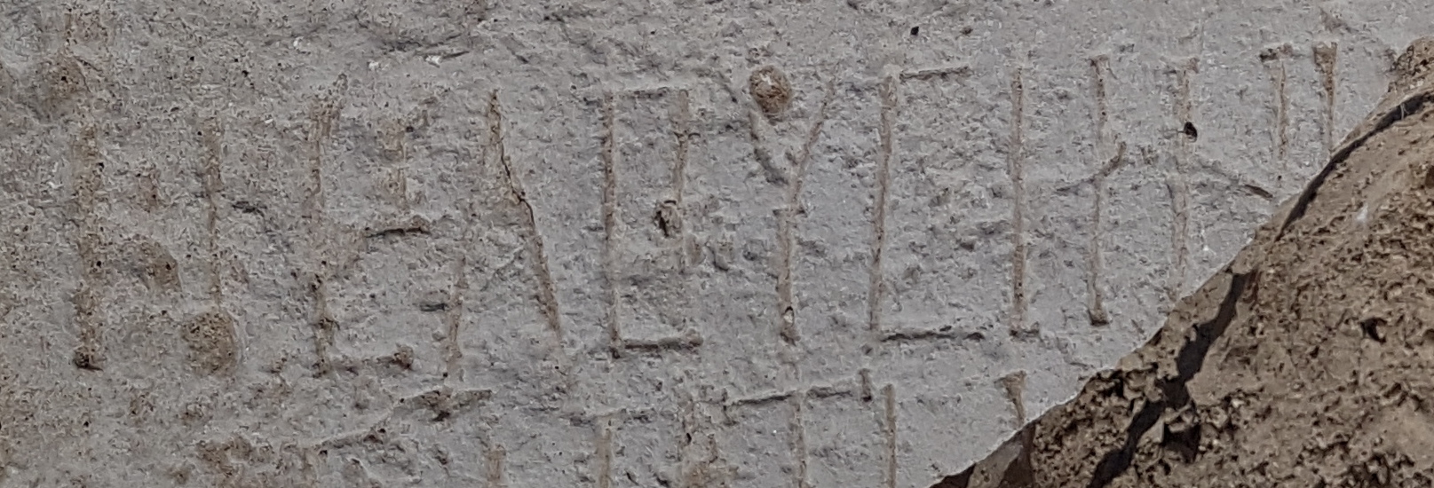 wine city elusa israel