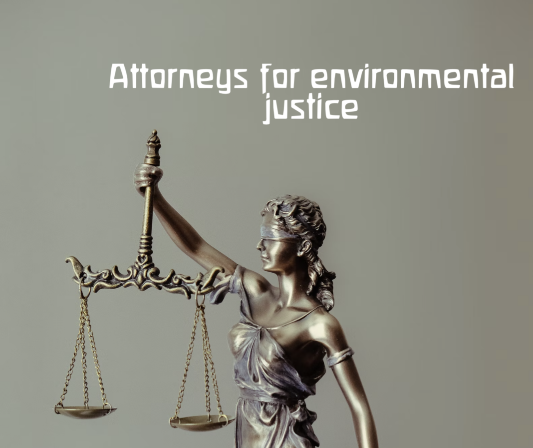 What You Need to Know if You Are Considering Litigation