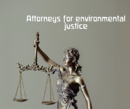 Quick Ways to Identify if you have Chosen the Right Attorney Quick Ways to Identify if you have Chosen the Right Attorney