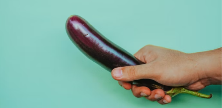 erect-eggplant-food.png