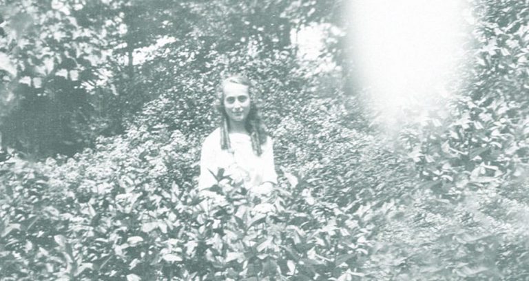 Estée Lauder goes solar