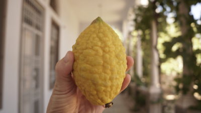 6 ways to use your etrog