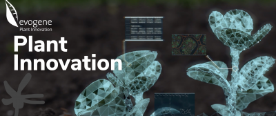 NASDAQ seed gene company Evogene jumps into cannabis